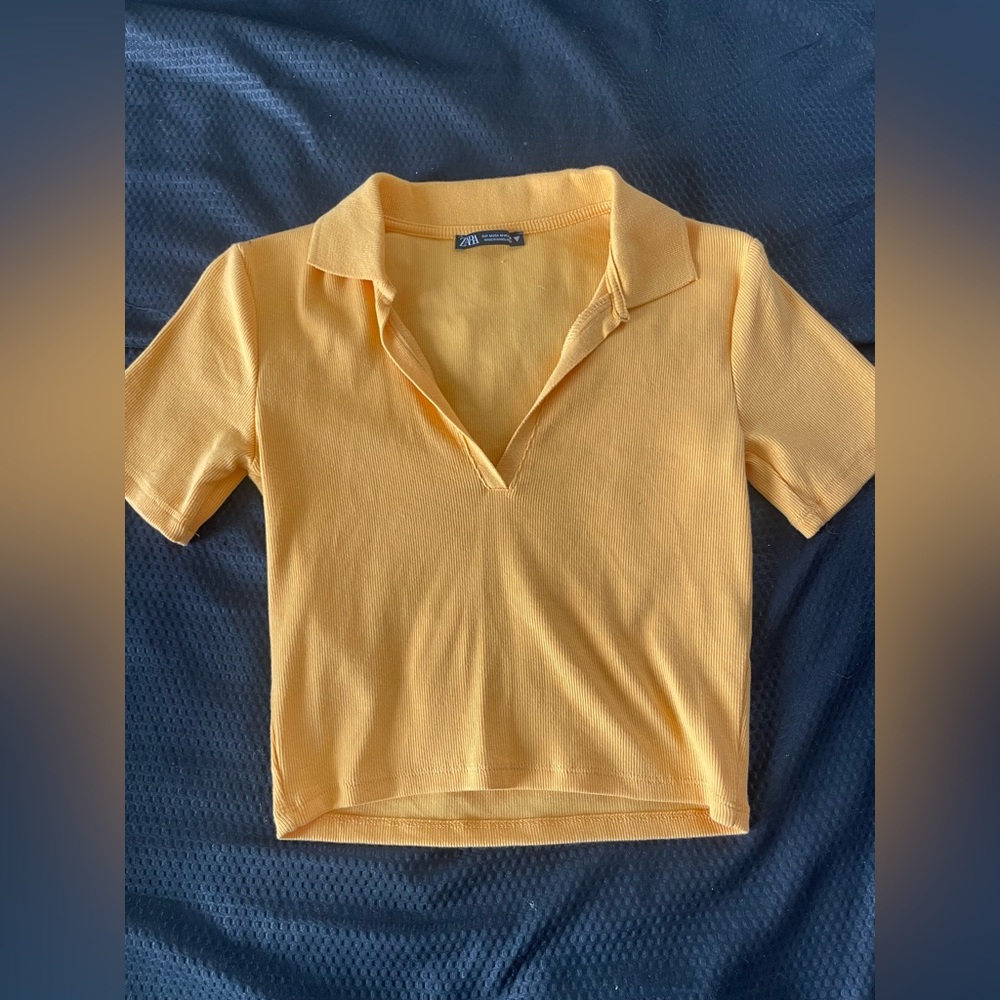 Zara Crop Top